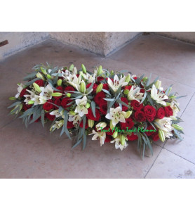 COUSSIN ALLONGE GROSEILLE