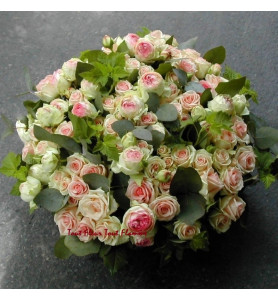 COUSSIN ROND TENDRESSE