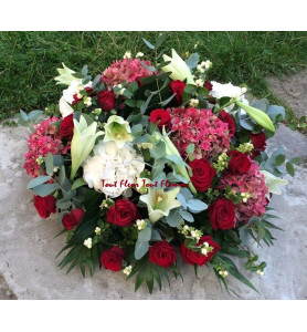 COUSSIN ROND DIVINE