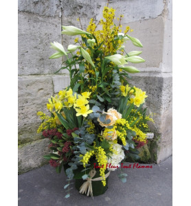 COUSSIN EN HAUTEUR COMBAVA