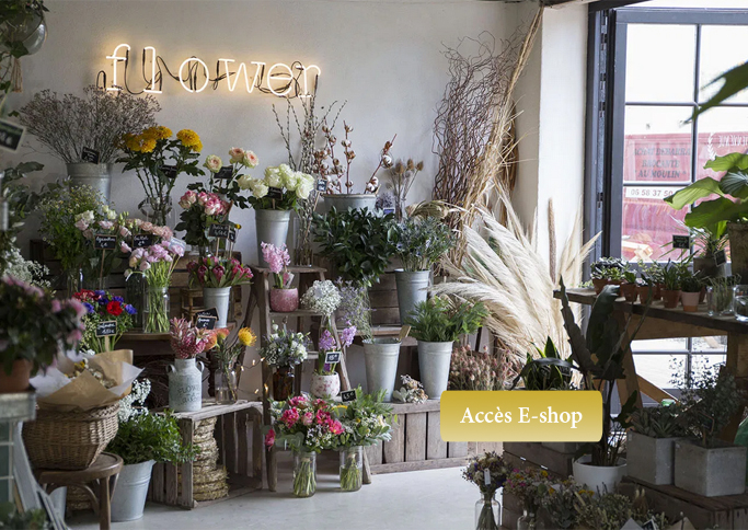 about-store1