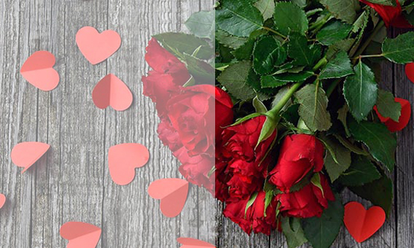 cms-banner2