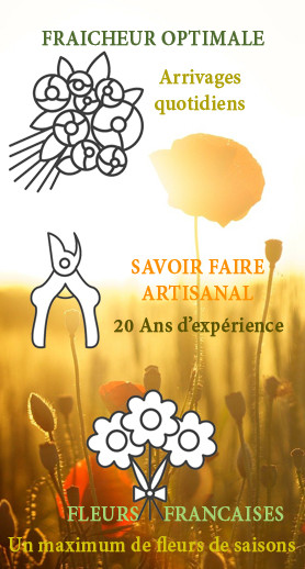 Fraicheur optimale